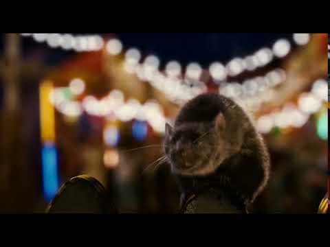Charlotte's Web (16 of 20) - Bird Battle