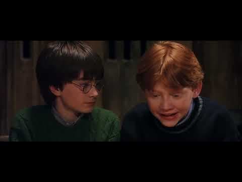 Harry Potter (10 of 13) - The Dragon