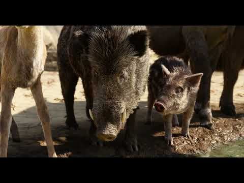 The Jungle Book | Water Truce (2)