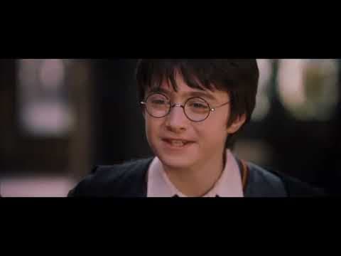 Harry Potter (11 of 13) - Fluffy's Secret