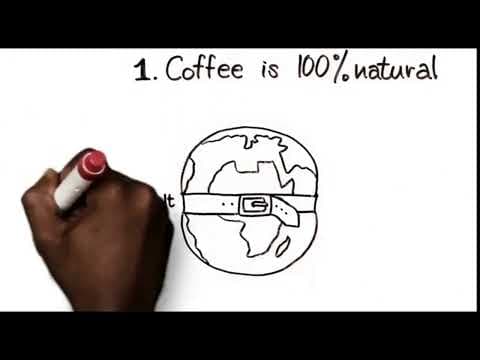 The Story of Coffee