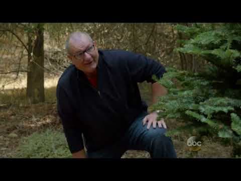 Modern Family - The Christmas Tree