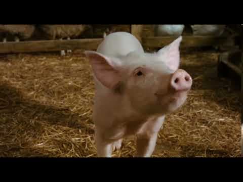 Charlotte's Web (20 of 20) - Charlotte's Children