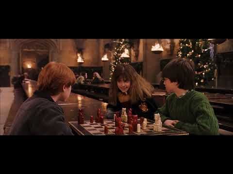Harry Potter (8 of 13) - The Magic Cloak