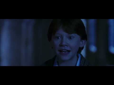 Harry Potter (9 of 13) - The Mirror