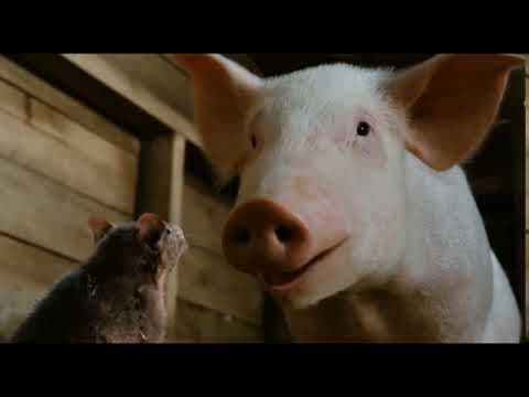 Charlotte's Web (19 of 20) - Templeton's Rescue