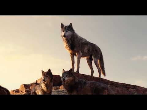 The Jungle Book | The Wolf Cub (1)
