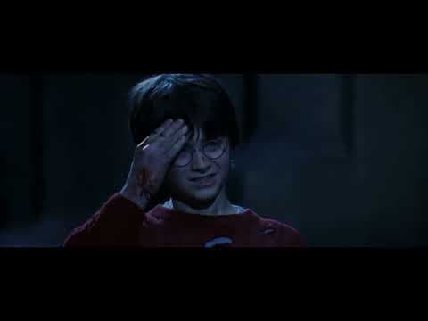 Harry Potter (13 of 13) - Harry meets Voldermort