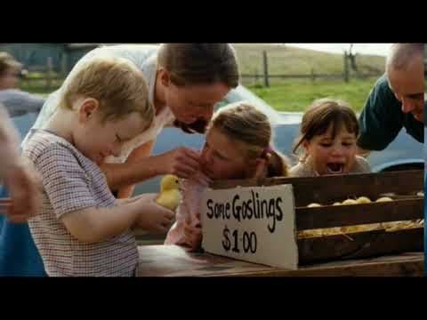 Charlotte's Web (11 of 20) - Terrific