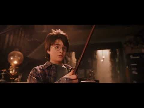 Harry Potter (2 of 13) - A Wand