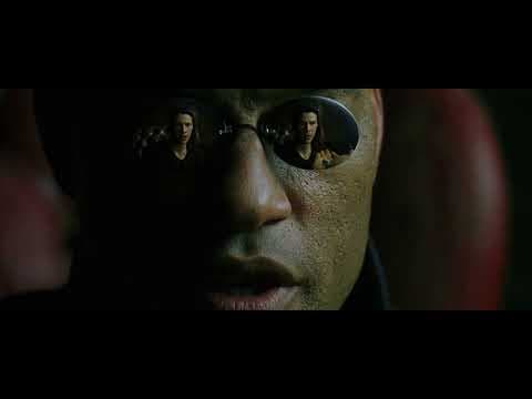 The Matrix – Red Pill, Blue Pill