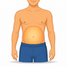abdomen