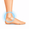 ankle