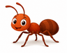 ant