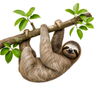 arboreal