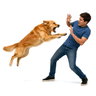 attack