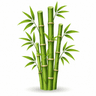 bamboo