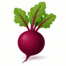 Beetroot