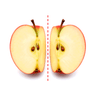 bisect