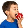 bite
