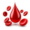 blood