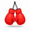 boxing