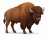 buffalo