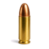 bullet