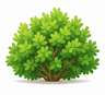 bush
