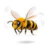 buzz