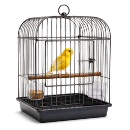 cage
