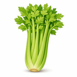 celery