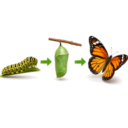 change