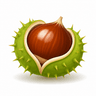 chestnut