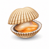 Cockle