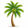 Coconut tree