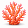 coral