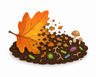 decompose