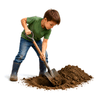 dig