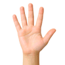 digit