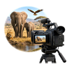 documentary