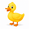duck