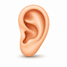 ear