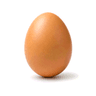 egg