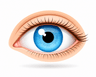 eye