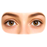 eyes