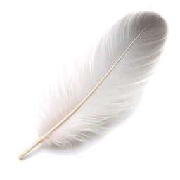feather