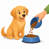 Feed the dog