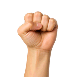 fist