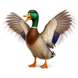 flap